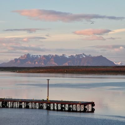 Sloths, Swans and Ice Cream in Wine– Puerto Natales - Chile - The Wise Traveller