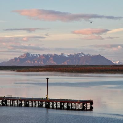 Sloths, Swans and Ice Cream in Wine– Puerto Natales - Chile - The Wise Traveller