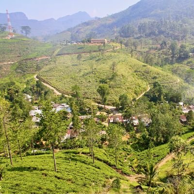 Sri Lanka's Tears - The Wise Traveller