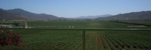 Swirl, Sniff and Sip - Valle de Guadalupe Wine Region, Baja Peninsula, Mexico - The Wise Traveller