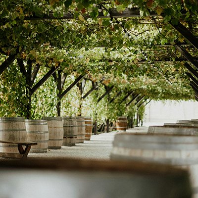 Swirl, Sniff and Sip - Valle de Guadalupe Wine Region, Baja Peninsula, Mexico - The Wise Traveller