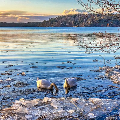 Take a Cold Bath - Sweden - The Wise Traveller