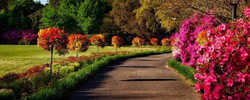 The Best Places to Visit for Spring Flowers - The Wise Traveller