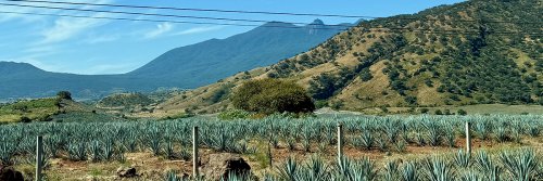 The Big Day Out - Guadalajara - The Wise Traveller