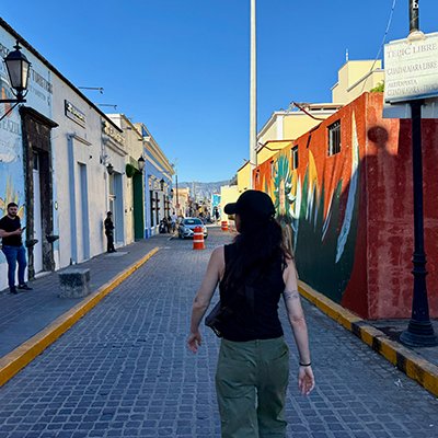 The Big Day Out - Guadalajara - The Wise Traveller