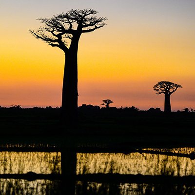 The Indian Ocean, Forests and a Royal Hill - UNESCO World Heritage Sites of Madagascar - The Wise Traveller - madagascar