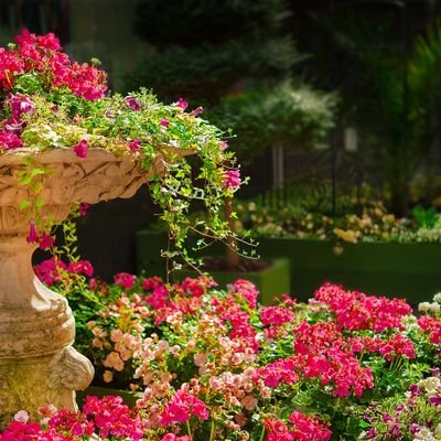 The Top 5 Flower Shows in the US - The Wise Traveller