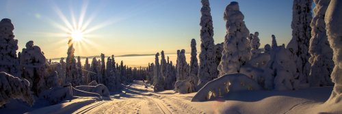 Top 5 Places in Lapland to Visit this Winter