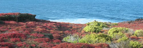 Top 6 Outdoor Adventures in the Galapagos Islands for Nature Enthusiasts - The Wise Traveller