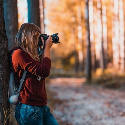 Top Tips for Wildlife Photography on your Travels - The Wise Traveller