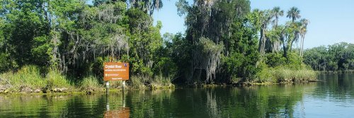 Ultimate Guide to Exploring Crystal River by Boat - The Wise Traveller