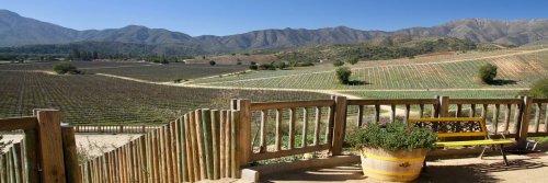 Villard Family Winery - Casablanca - Chile - The Wise Traveller