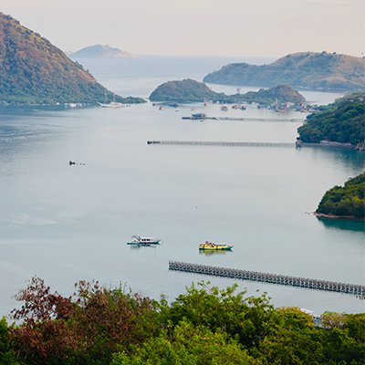 Where Lizards Rule - Komodo National Park - Indonesia - The Wise Traveller