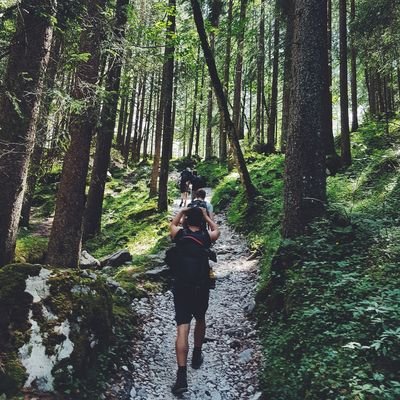 Why hiking has become so popular and how to incorporate it into your future travels - The Wise Traveller
