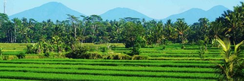 Why You Should Not Miss Nyepi, Bali’s Hindu New Year - The Wise Traveller