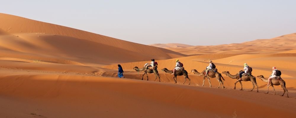 10 Places To Escape The Cold - 10 Inexpensive Destinations to Escape the Cold - The Wise Traveller - Desert Camels - Morocco