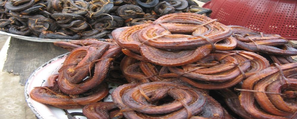 25 'Exotic' Dishes When Travelling - Top 25 Strange Foods When You Travel - The Wise Traveller - Cambodia - Snake Sausage