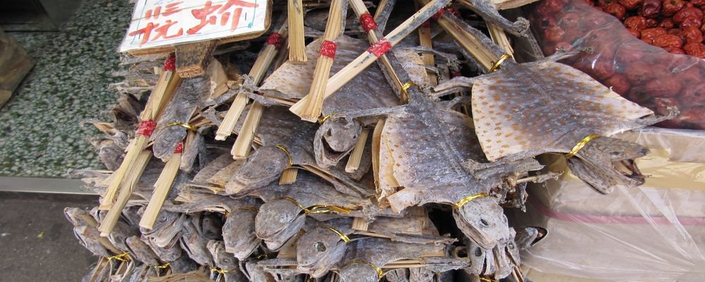25 'Exotic' Dishes When Travelling - Top 25 Strange Foods When You Travel - The Wise Traveller - Hong Kong - Salted Dried Lizard
