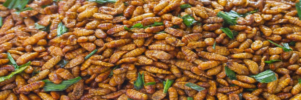 25 'Exotic' Dishes When Travelling - Top 25 Strange Foods When You Travel - The Wise Traveller - Thailand - Fried Silk Worm