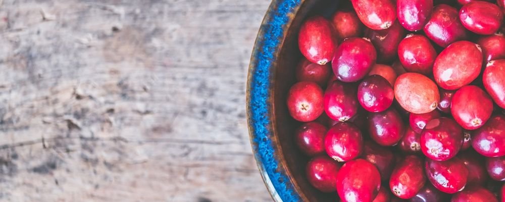 5 Holiday Cocktails You Can Make at Home - The Wise Traveller - Cranberry