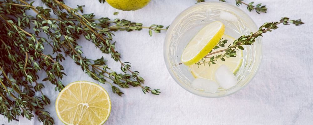 5 Holiday Cocktails You Can Make at Home - The Wise Traveller - Lime