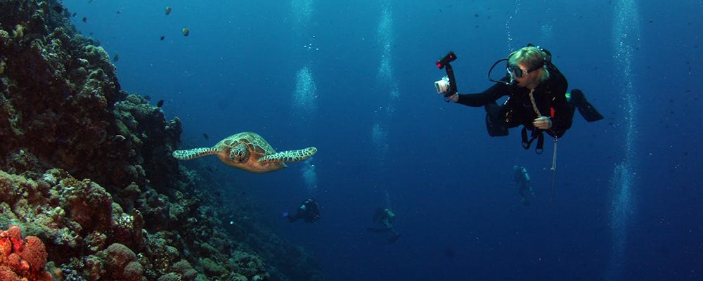 5 Most Beautiful UNESCO World Heritage Sites to Put on Your Bucket List - The Wise Traveller - Great Barrier Reef