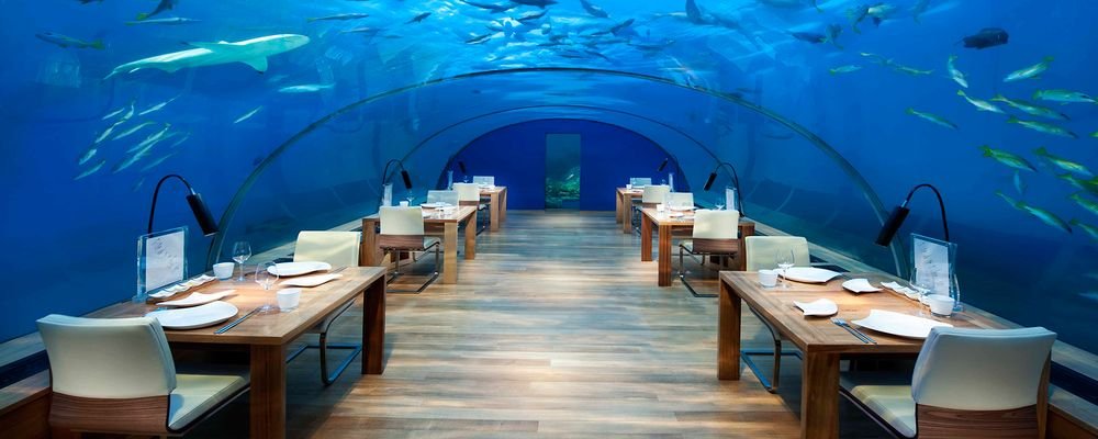 5 Unusual Eating Experiences - Not Normal Restaurants - The Wise Traveller - Ithaa Undersea Restaurant - Ithaa Undersea Restaurant