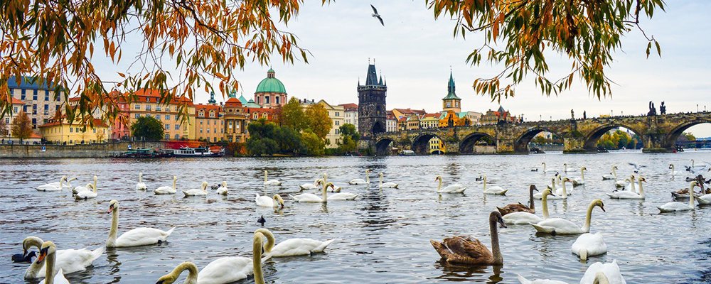 7 Reasons Why Prague is One of the Best European Cities - The Wise Traveller - Swans