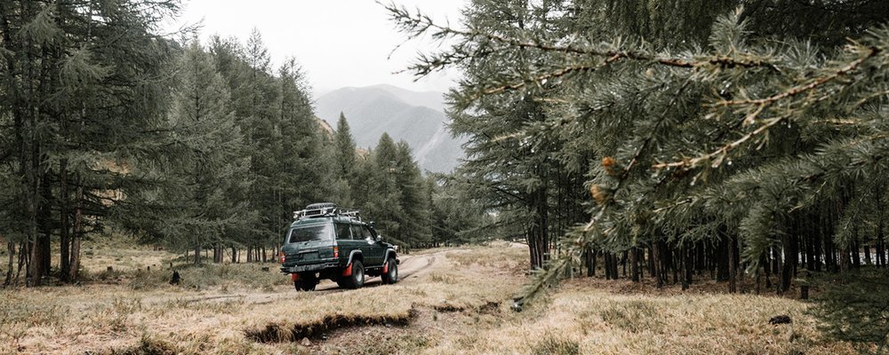 A Beginner's Guide to Outfitting a Vehicle for Car Camping - The Wise Traveller - ON the road