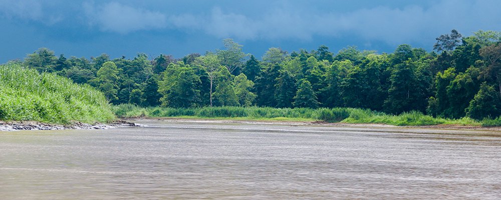 A Gift to the Earth - The Kinabatangan River - Sabah, Borneo - The Wise Traveller - Kinabatangan River