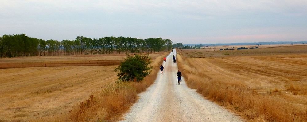 A Great Pilgrimage Walk - El Camino de Santiago - Spain - The Wise Traveller - Path