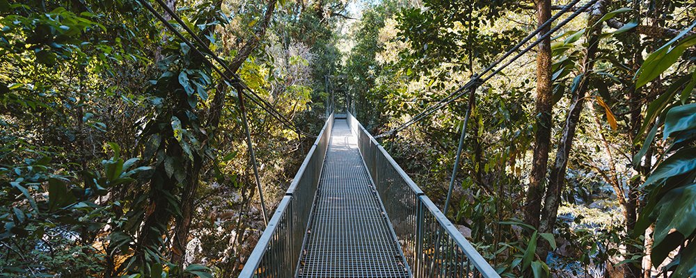 A Sacred and Spiritual Site - Mossman Gorge - Queensland, Australia - The Wise Traveller - 140410-2019_TNQ_MossmanGorge-39_TA-2