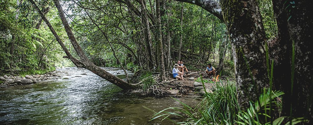 A Sacred and Spiritual Site - Mossman Gorge - Queensland, Australia - The Wise Traveller - 142203-2020_TNQ_Mossman_MossmanGorge_WalkaboutCulturalAdventures_PhilWarring_16-6