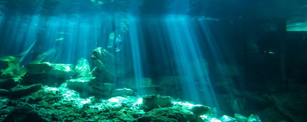 Adrenalin Junkie Destinations - The Wise Traveller - Cenote Dos Ojos