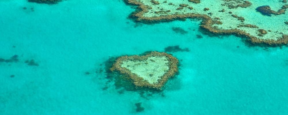 Airlie Beach – The Playground of the Reef - The Whitsundays  - Queensland - Australia - The Wise Traveller - Heart Reef