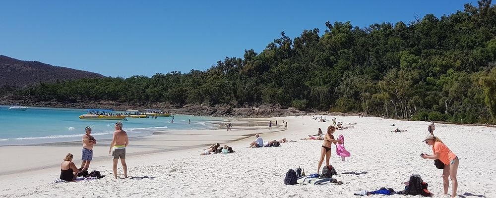 Airlie Beach – The Playground of the Reef - The Whitsundays  - Queensland - Australia - The Wise Traveller - Queensland