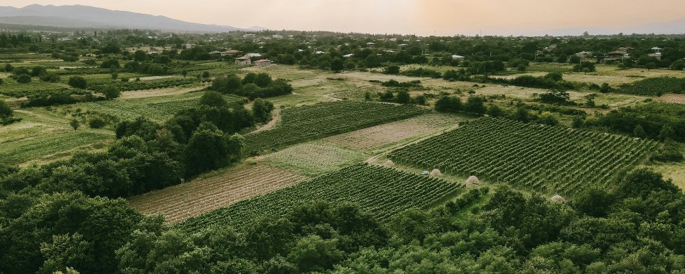 An Ancient Landscape of Colorful Wine - Georgia - The Wise Traveller - Kakheti