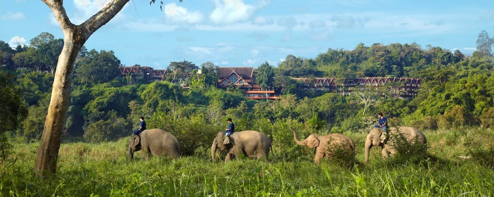 Ethical Animal Experiences For Responsible Travellers - The Wise Traveller