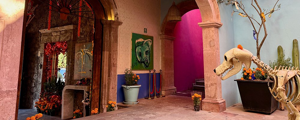 Art and The Perfect Pillow - Concepcion Hotel Boutique - San Miguel de Allende, Mexico - The Wise Traveller - IMG_6340