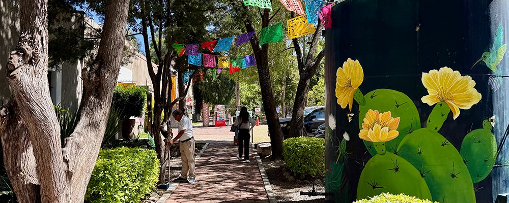 Artsy San Miguel de Allende - Mexico - The Wise Traveller - IMG_6405