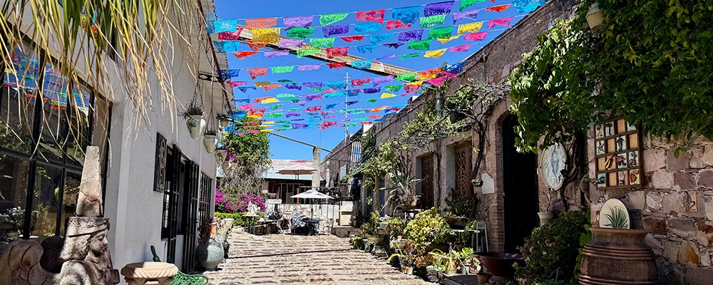 Artsy San Miguel de Allende - Mexico - The Wise Traveller - IMG_6414