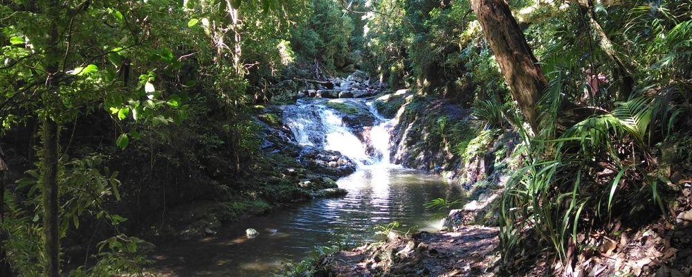 Australia’s Gold Coast Hinterland - 5 Secret Nature-abundant Places to Visit That Aren't Swarming with Tourists - The Wise Traveller - Lamington National Park