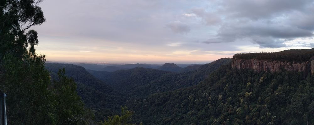 Australia’s Gold Coast Hinterland - 5 Secret Nature-abundant Places to Visit That Aren't Swarming with Tourists - The Wise Traveller - Springbrook National Park