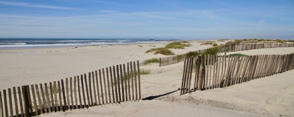 Aveiro—The Venice of Portugal - The Wise Traveller - Beach