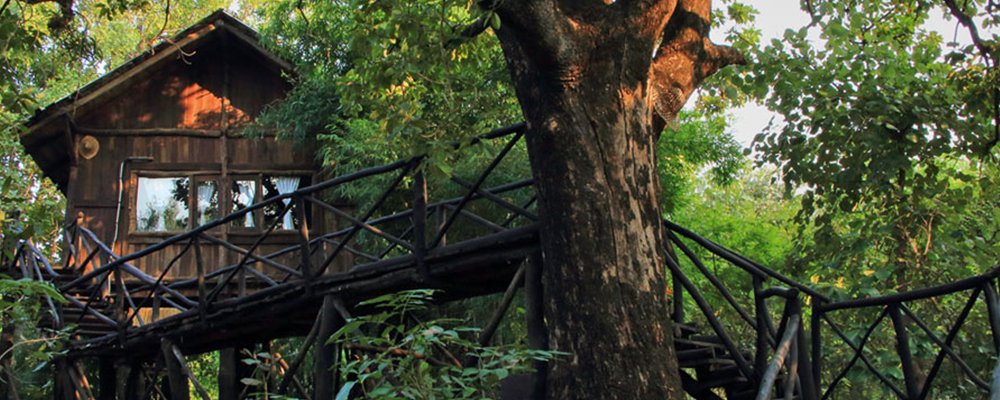 Beds in the Wild India - The Wise Traveller - Tree House Hideaway