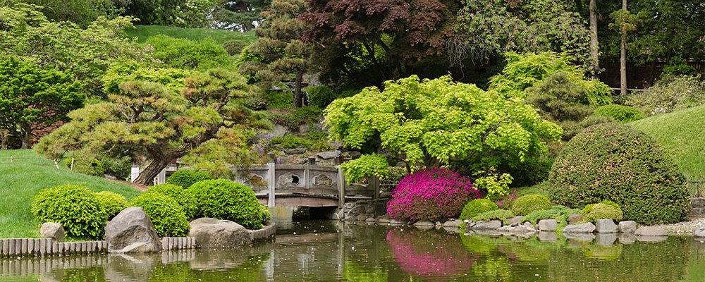 Best Places To Spot Blooming Blossoms In The USA This Spring - The Wise Traveller - Brooklyn Botanical Gardens