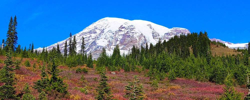 Best Places To Spot Blooming Blossoms In The USA This Spring - The Wise Traveller - North Cascades National Park