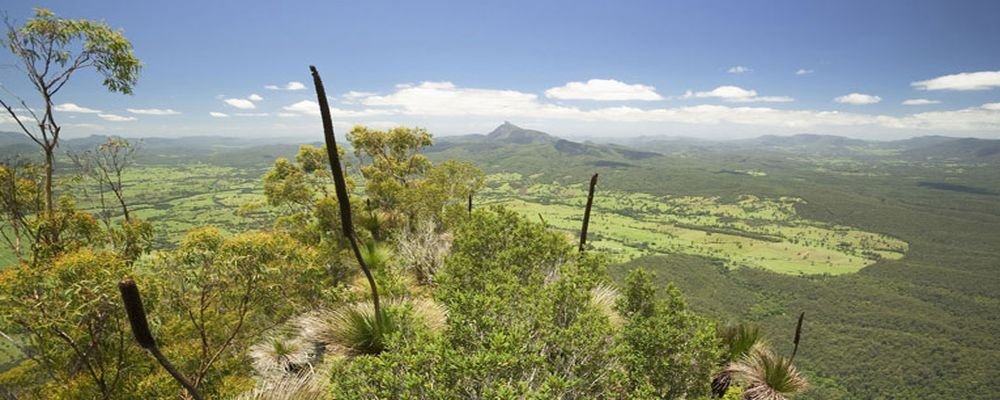 Beyond Byron Bay - Secrets of New South Wales’ Northern Rivers - The Wise Traveller - Border Ranges National Park