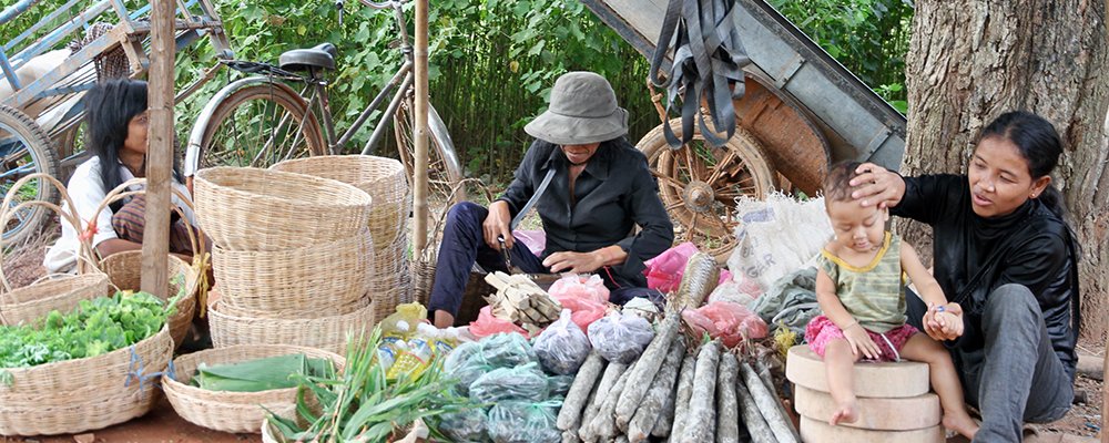 Black Fish, Red Earth, and Scams - Roluos Markets, Siem Reap, Cambodia - The Wise Traveller - IMG5052
