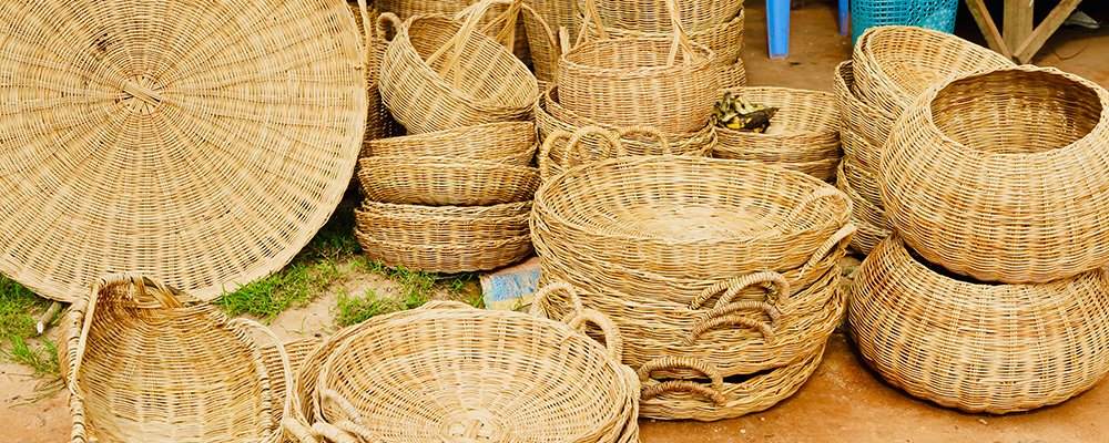 Black Fish, Red Earth, and Scams - Roluos Markets, Siem Reap, Cambodia - The Wise Traveller - IMG5054